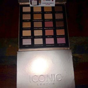 Iconic palette